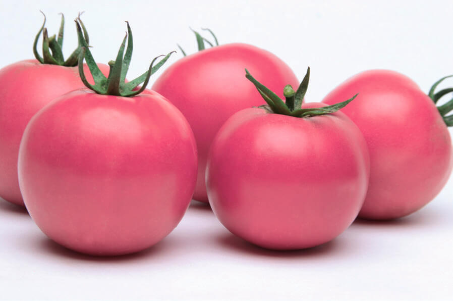 Сорта индетерминантных томатов, выращиваемые в теплице