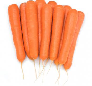 Octavo Carrots Vilmorin