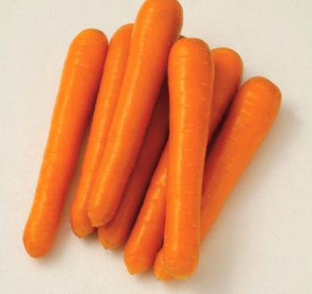 Carrots Vilmorin