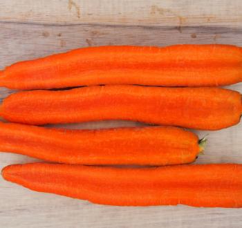 Carrots Vilmorin