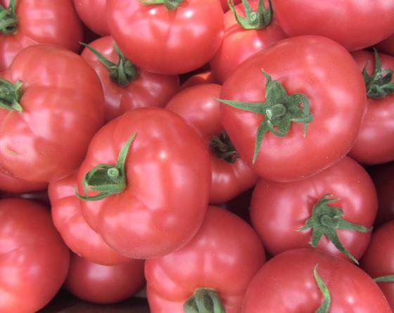 Томат найс f1. Томат найс f1. Томат шеди леди. Пинк найс f1. Томат пинк найс f1.