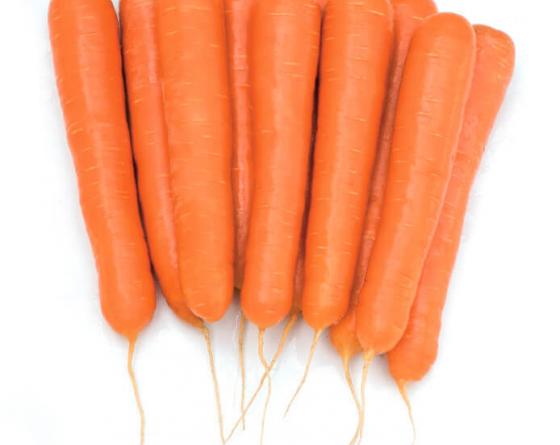 Octavo Carrots Vilmorin
