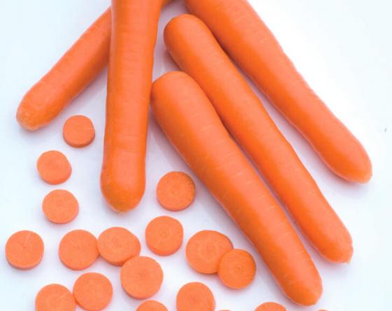 Carrots Vilmorin