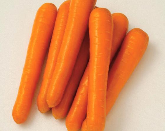 Carrots Vilmorin