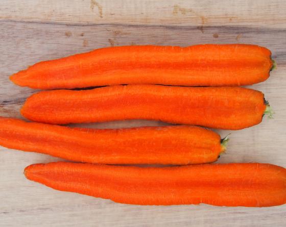 Carrots Vilmorin