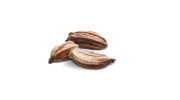 Carrot_seeds.png Carrot_seeds.png