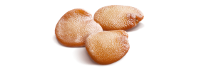 Eggplant_seeds.png Eggplant_seeds.png