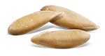melon_seeds melon_seeds