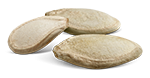zucchini_seeds zucchini_seeds